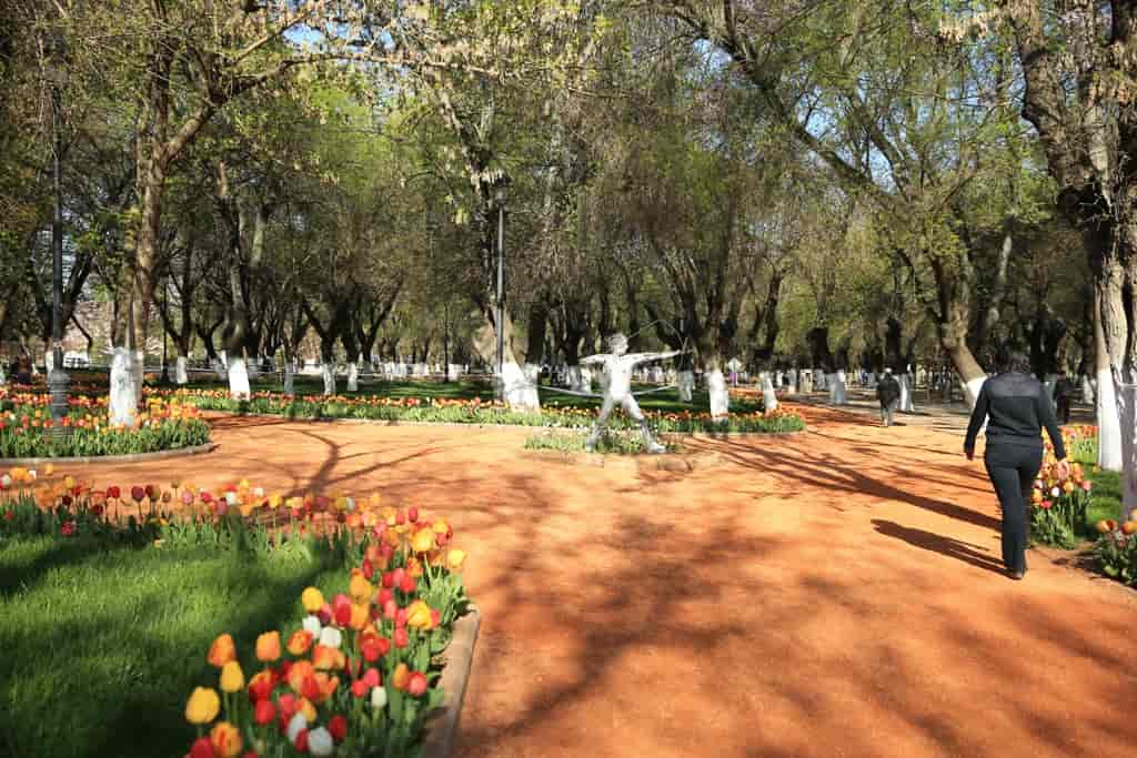 Kavaklık Parkı