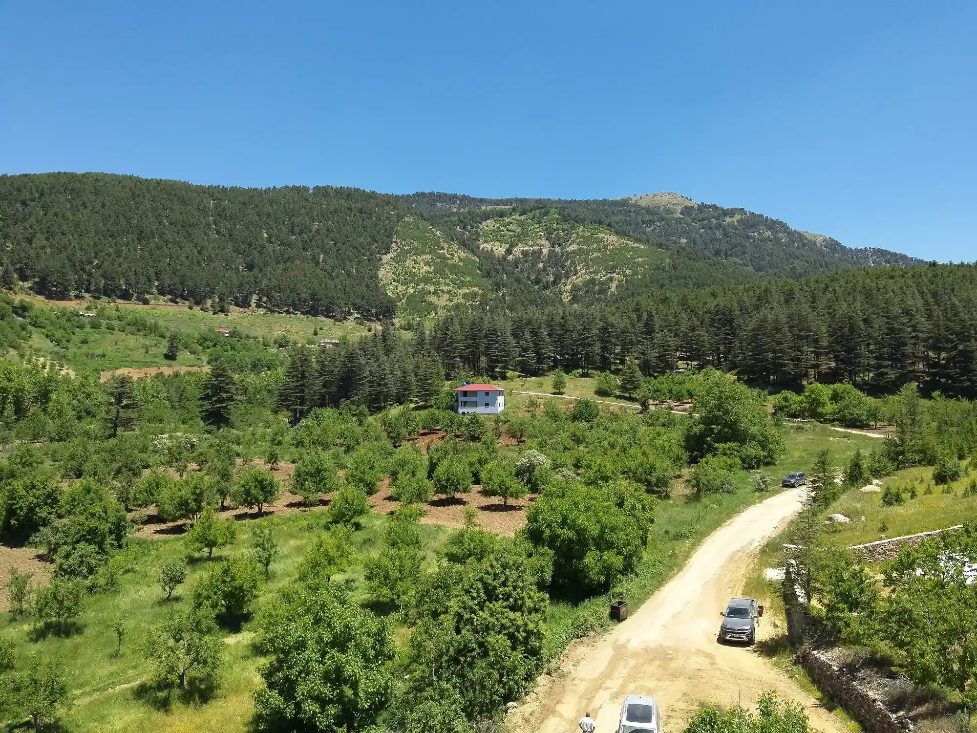 Huzurlu Yaylası