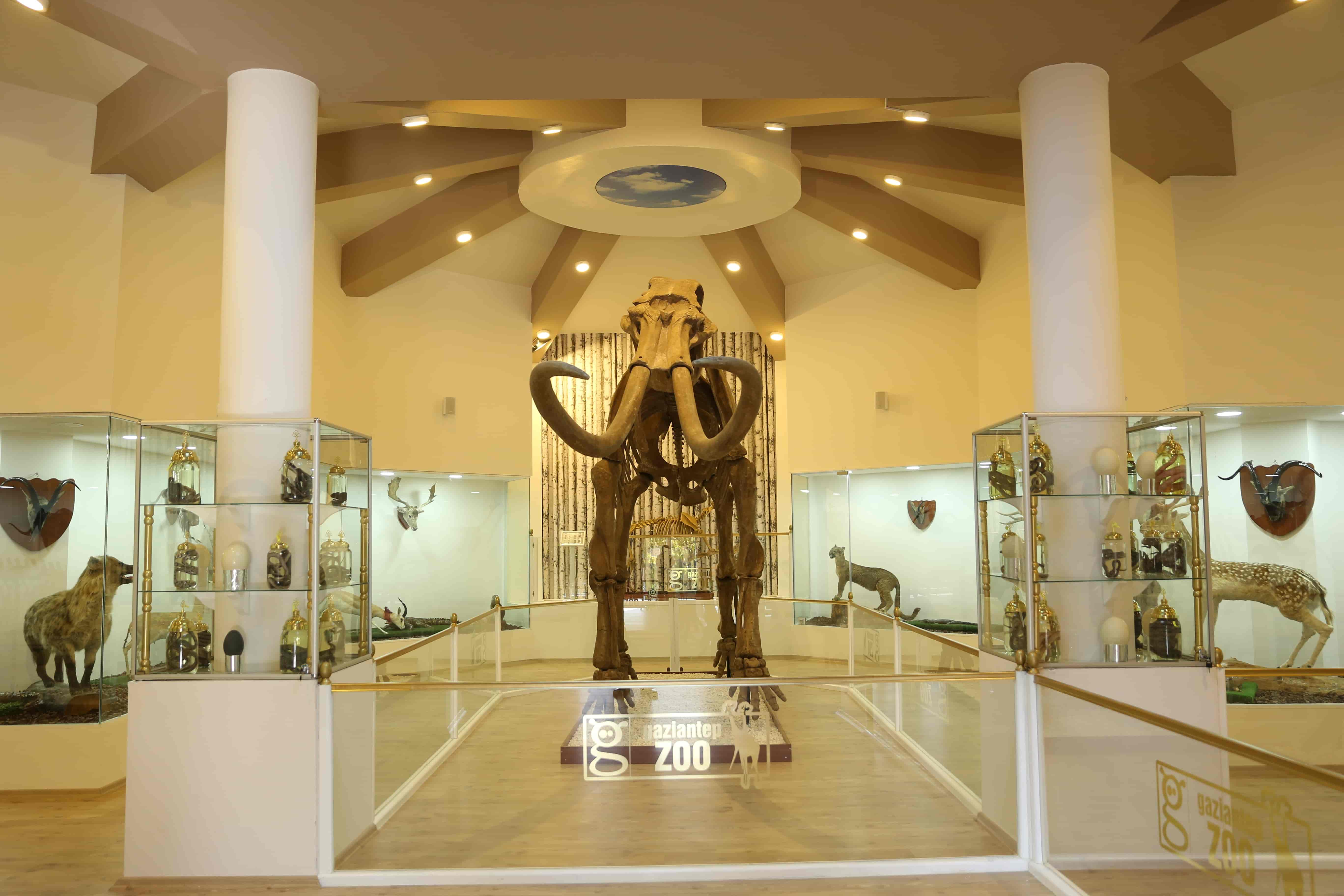 Gaziantep Zooloji ve Doğa Müzesi